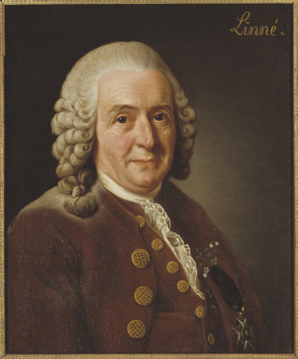 Carl Linneo (1707-1778), professore e botanico, 1775 da Alexander Roslin
