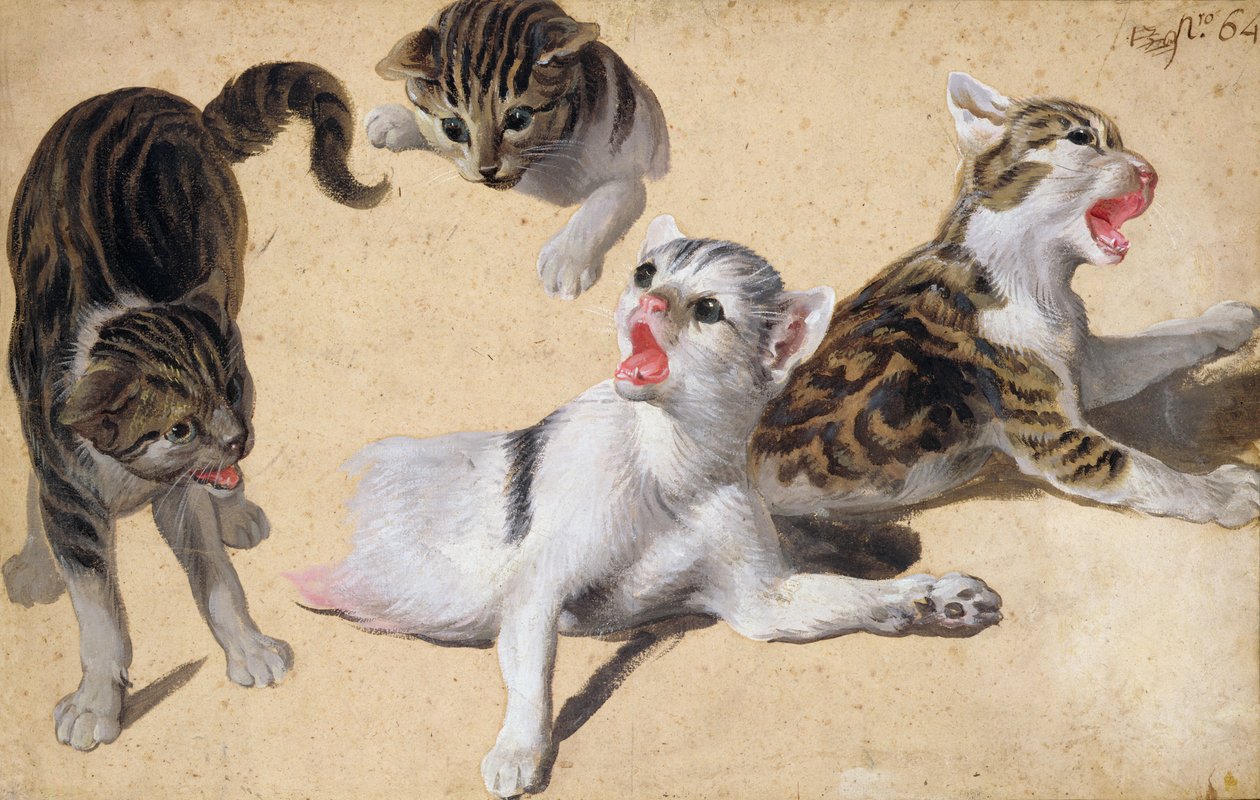 Quattro studi di gattini da Alexandre Francois Desportes