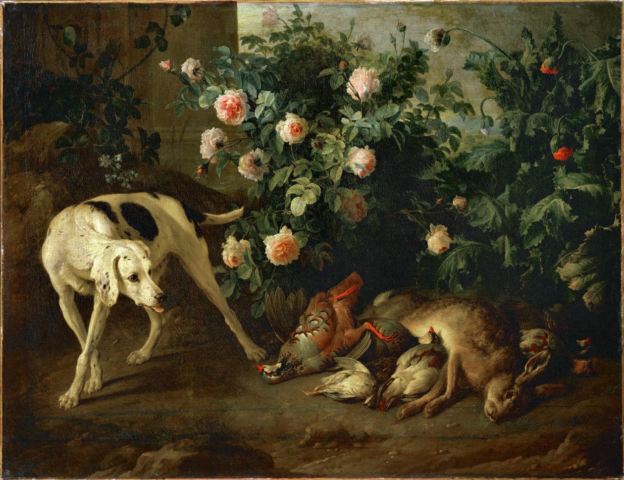 Cane da guardia vicino a un cespuglio di rose - Chien gardant du gibier aupres d