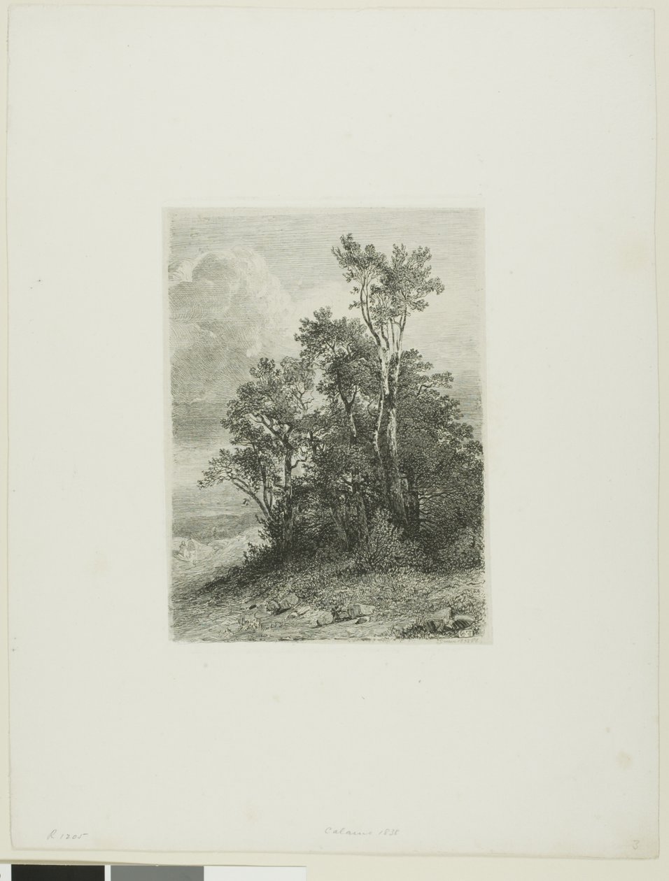 Paesaggio alpino da Alexandre Calame