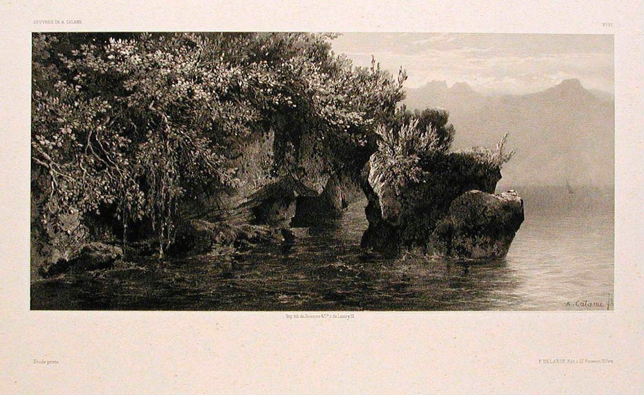 Sulle rive del Lago di Ginevra da Alexandre Calame