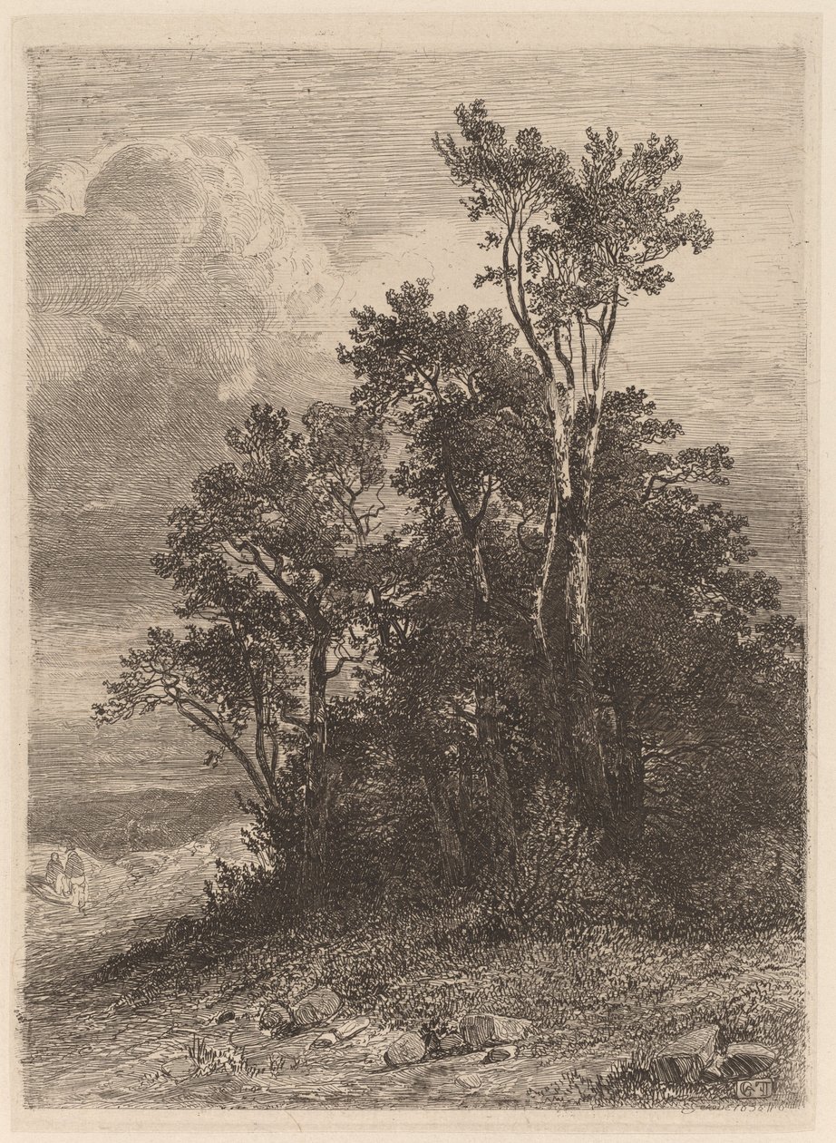 Boschetto di alberi da Alexandre Calame