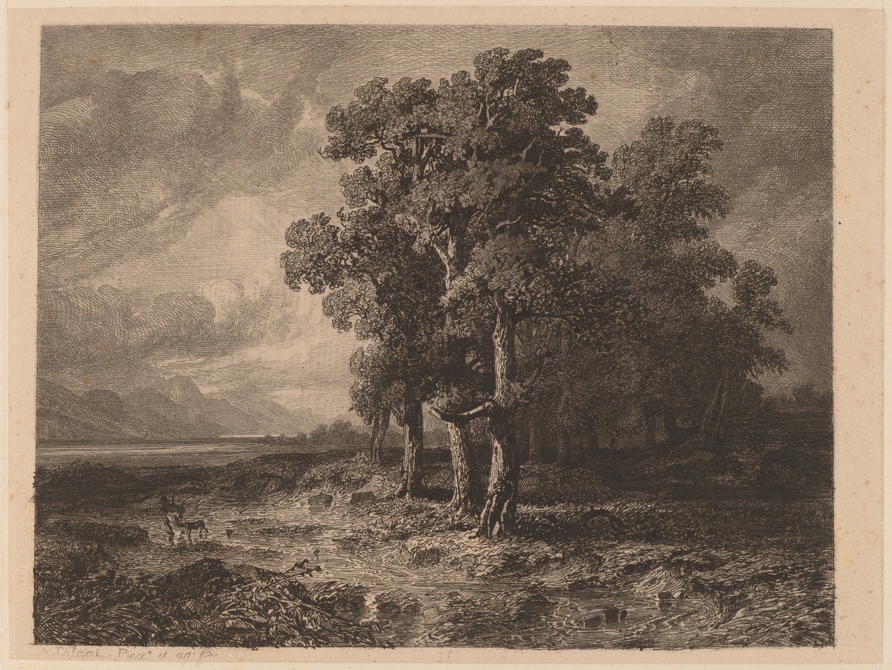 Alberi in una tempesta da Alexandre Calame