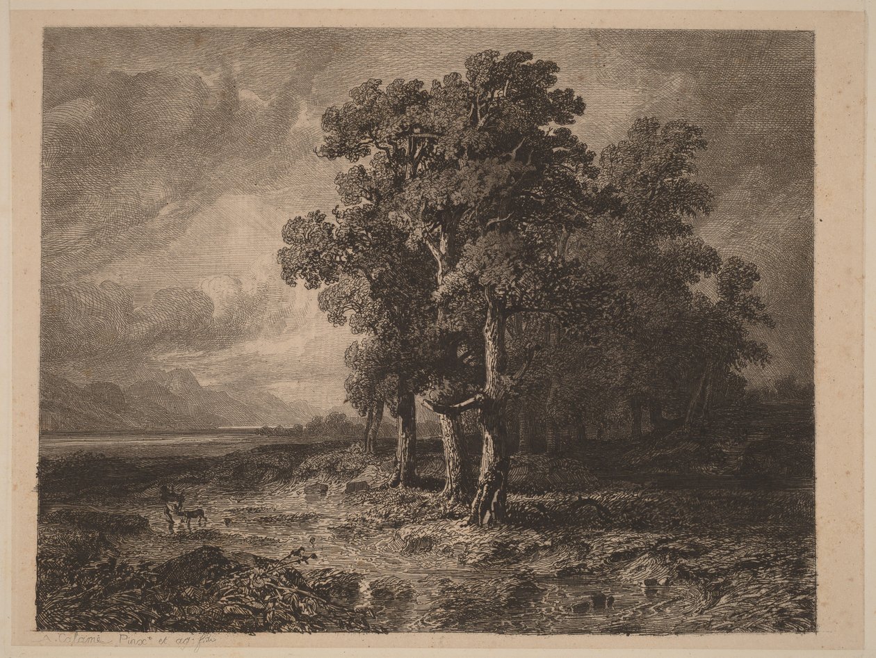 Alberi nella tempesta da Alexandre Calame