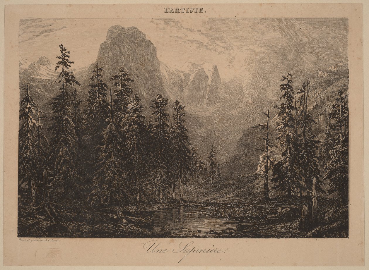 Un bosco di abeti da Alexandre Calame