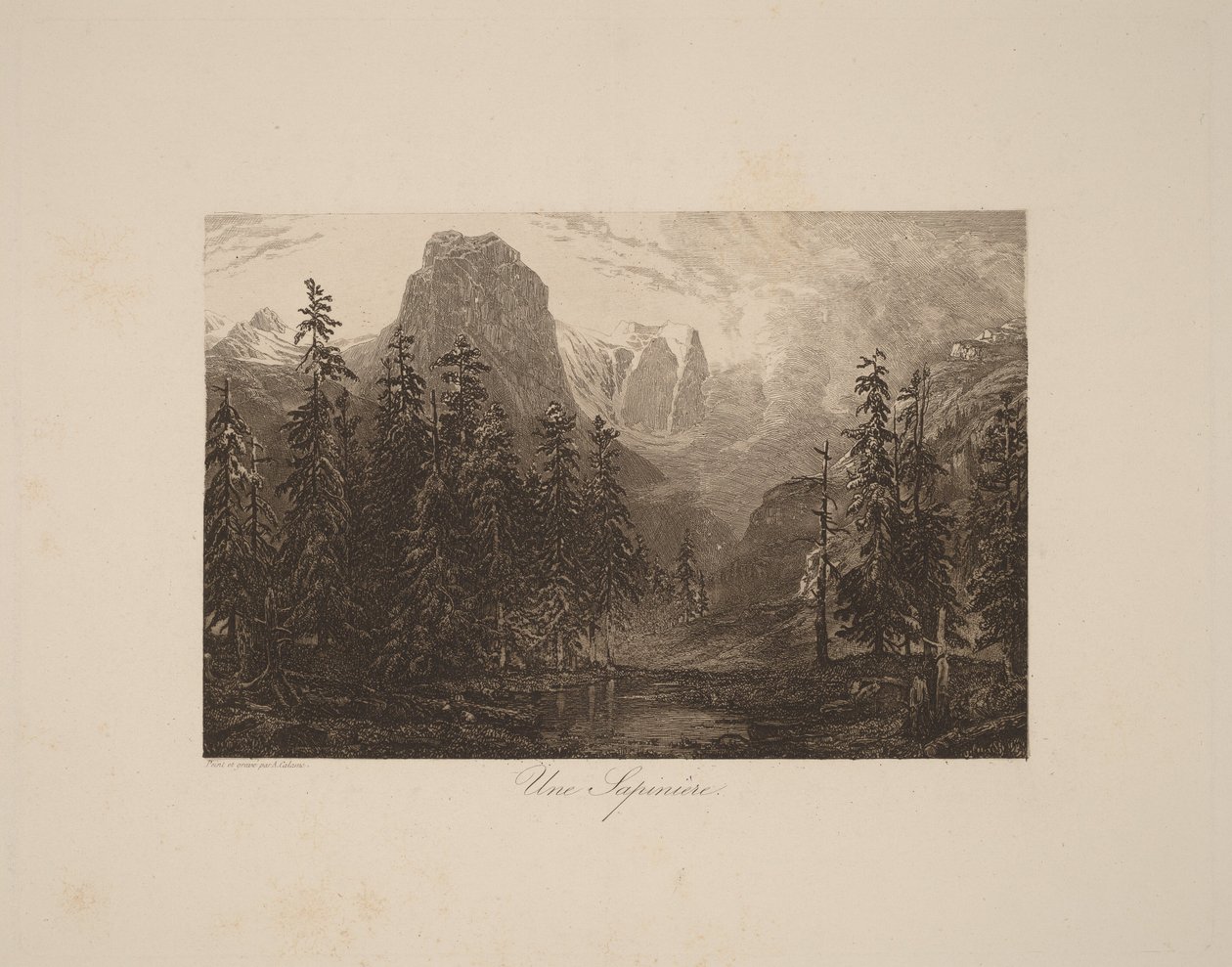 Un bosco di abeti da Alexandre Calame