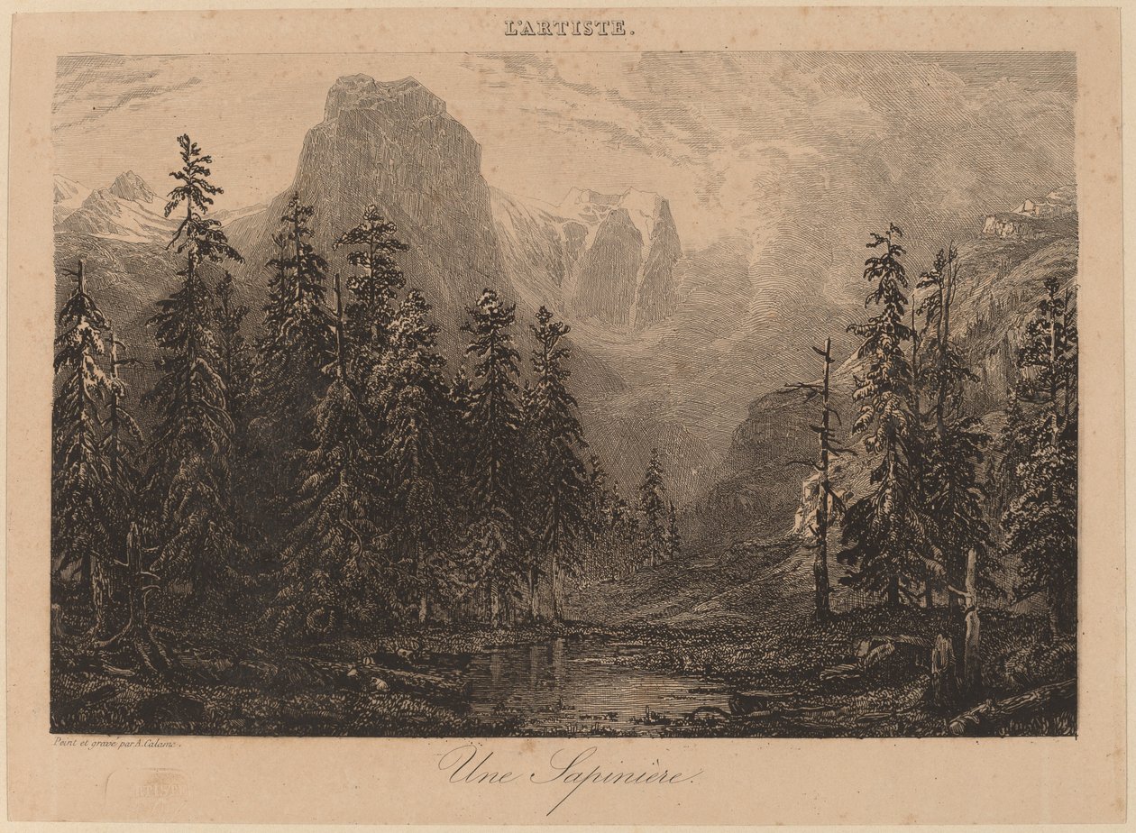 Una Pineta da Alexandre Calame