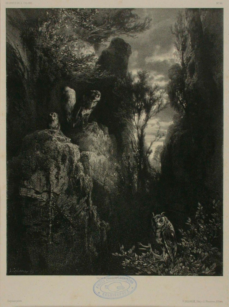 Senza titolo da Alexandre Calame