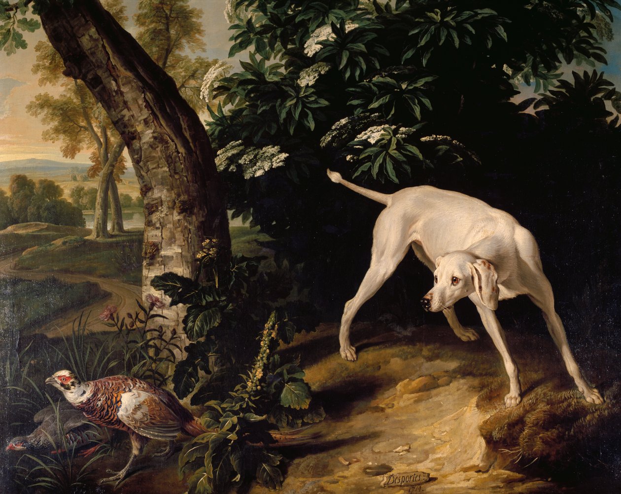 Scena di caccia (dettaglio) da Alexandre Francois Desportes