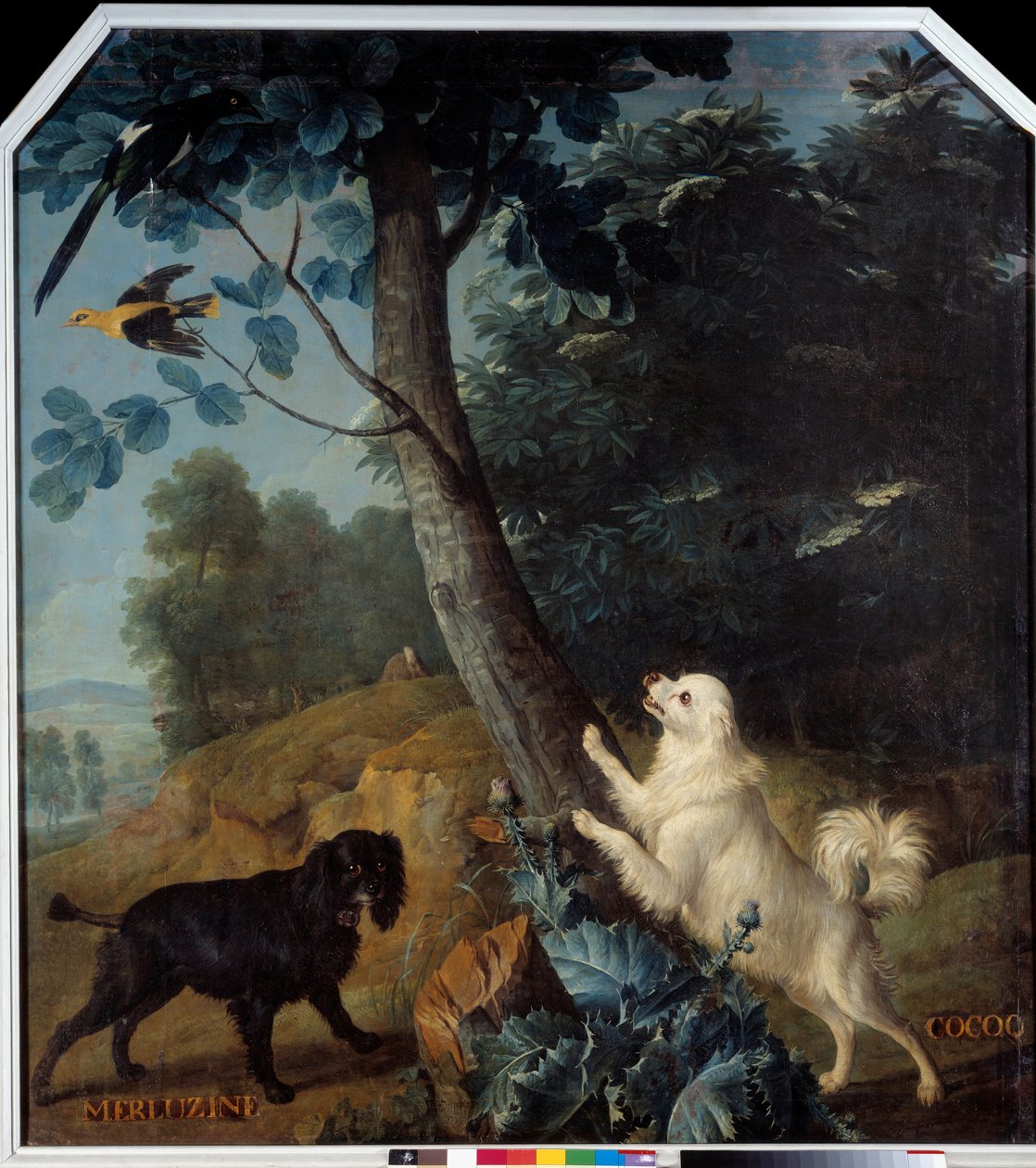 Merluzine e Cocoq, i cani di Luigi XIV da Alexandre Francois Desportes