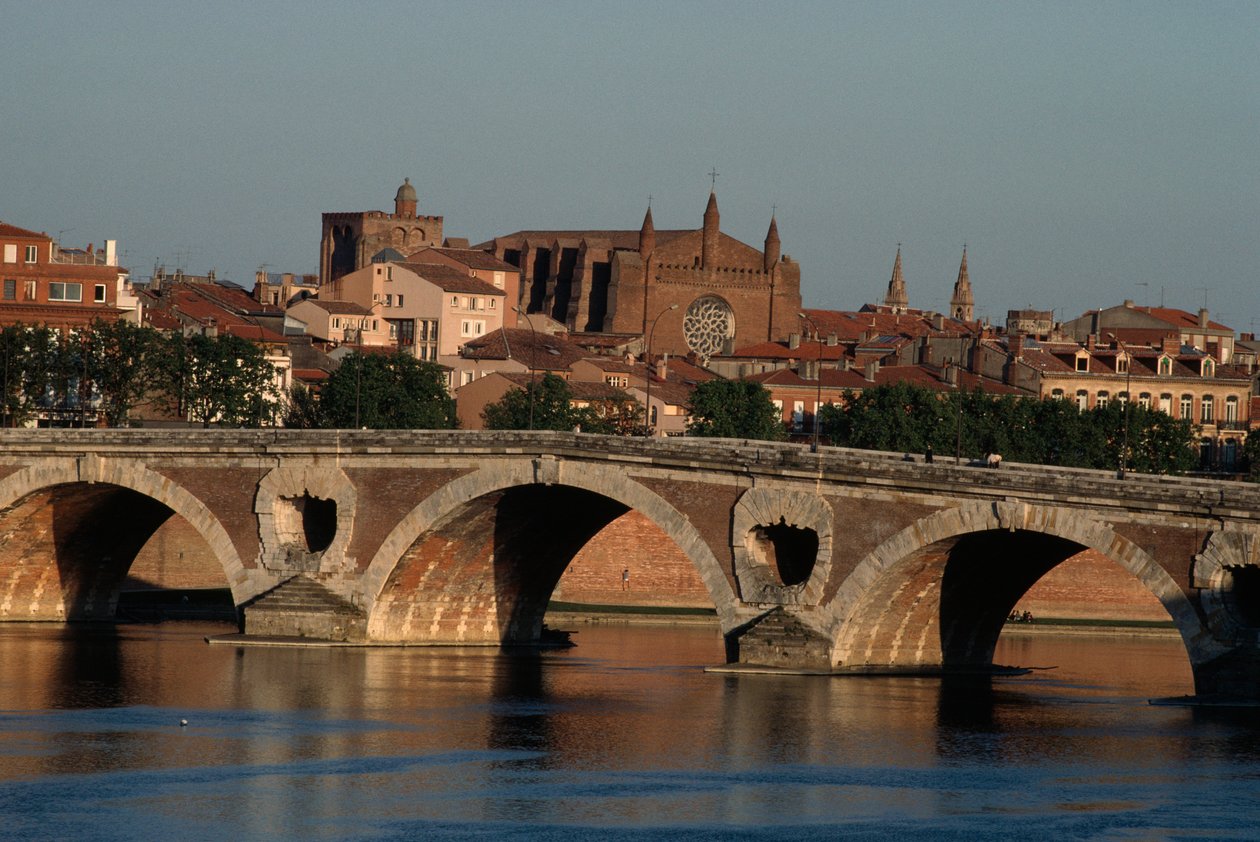 Pont-Neuf sul fiume Garonna, Tolosa, Midi-Pirenei, Francia da Nicolas Toussaint Charlet