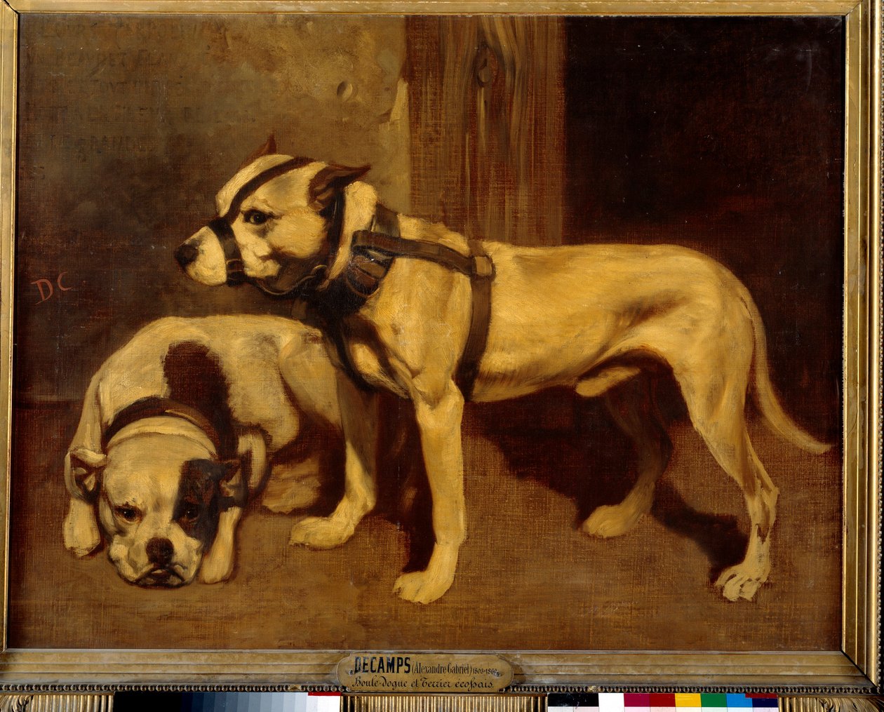 Bulldog scozzese e Terrier, cane cattivo con museruola da Alexandre Gabriel Decamps