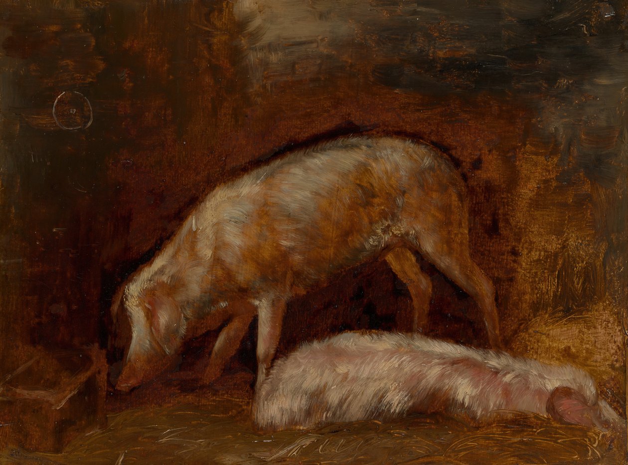Studio di maiali, 1850-60 da Alexandre Gabriel Decamps