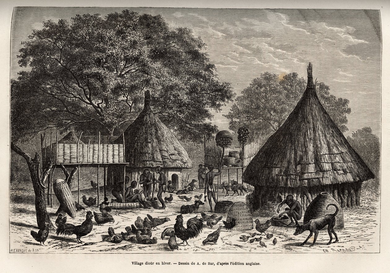 Villaggio Diour in inverno (Sudan) e attività quotidiane degli abitanti in mezzo agli animali allevati dalla comunità, incisione dopo il disegno di A. de Bar, illustrando il viaggio nel cuore dell