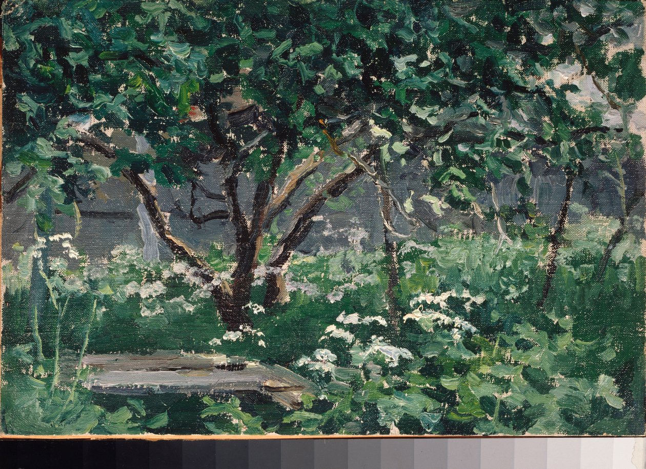 Un angolo del giardino da Alexei Steipanovitch Stepanov