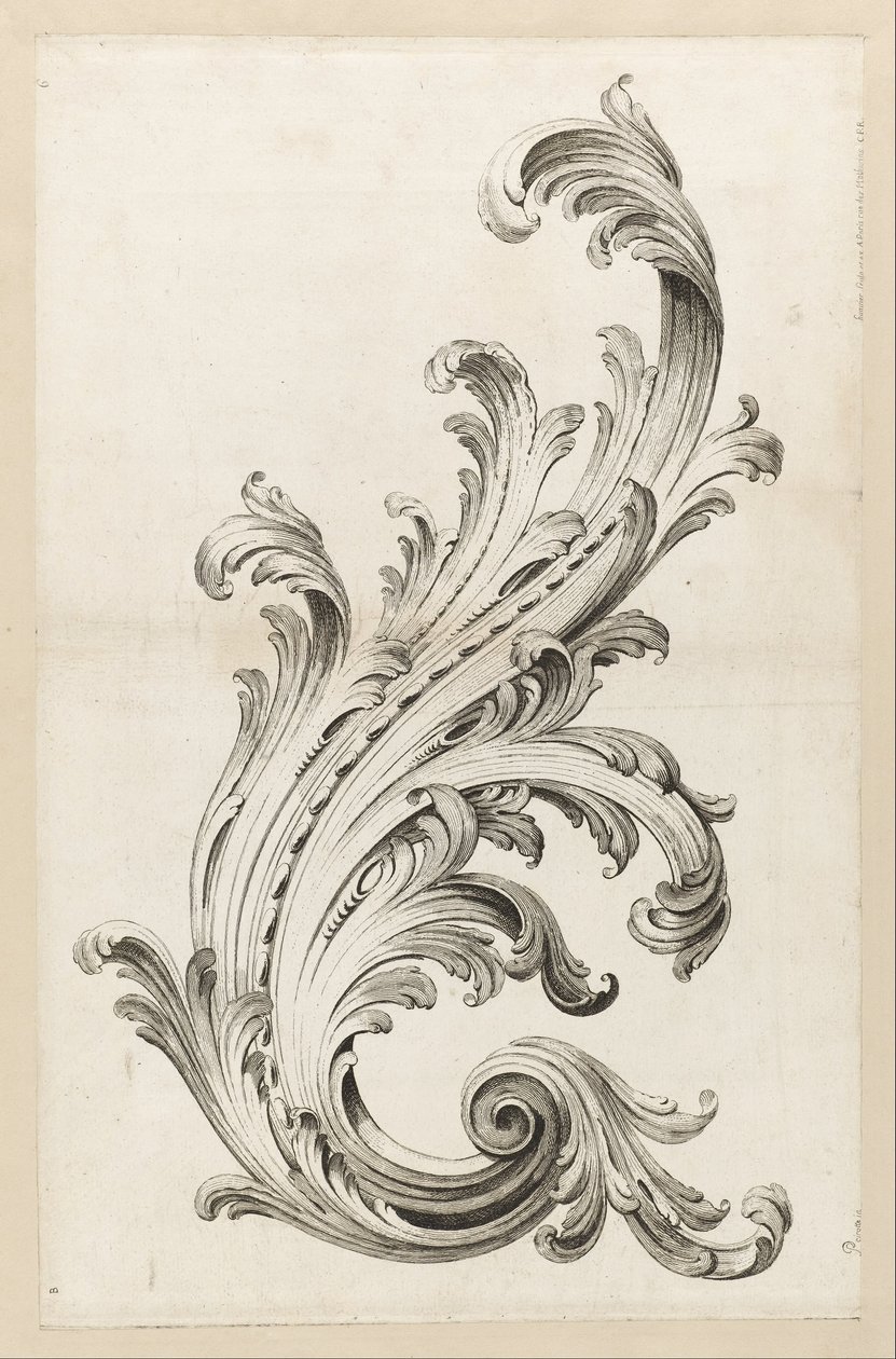 Disegno di foglia di acanto da Alexis Peyrotte