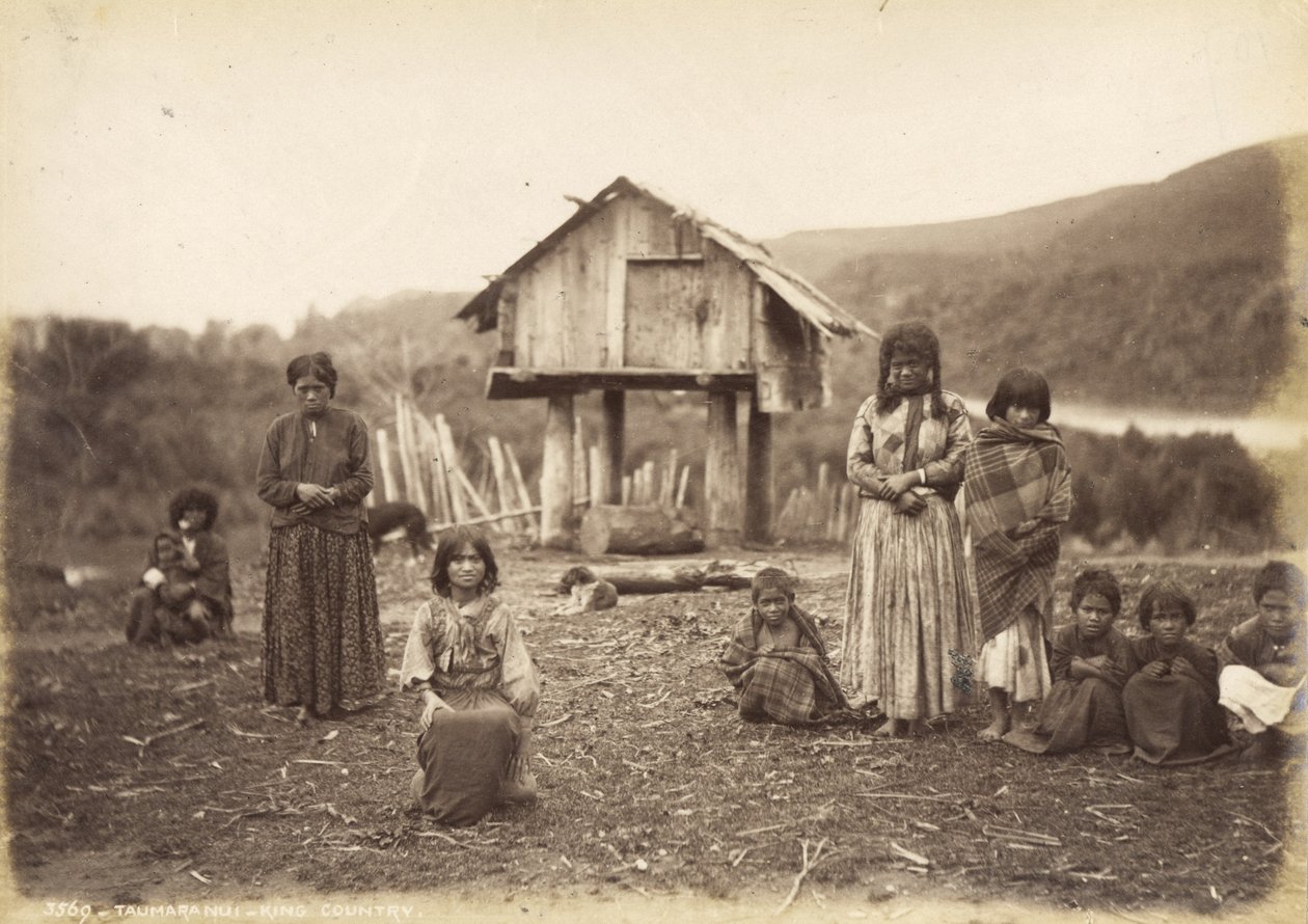 Taumaranui - King Country, 29 maggio 1885 da Alfred Burton
