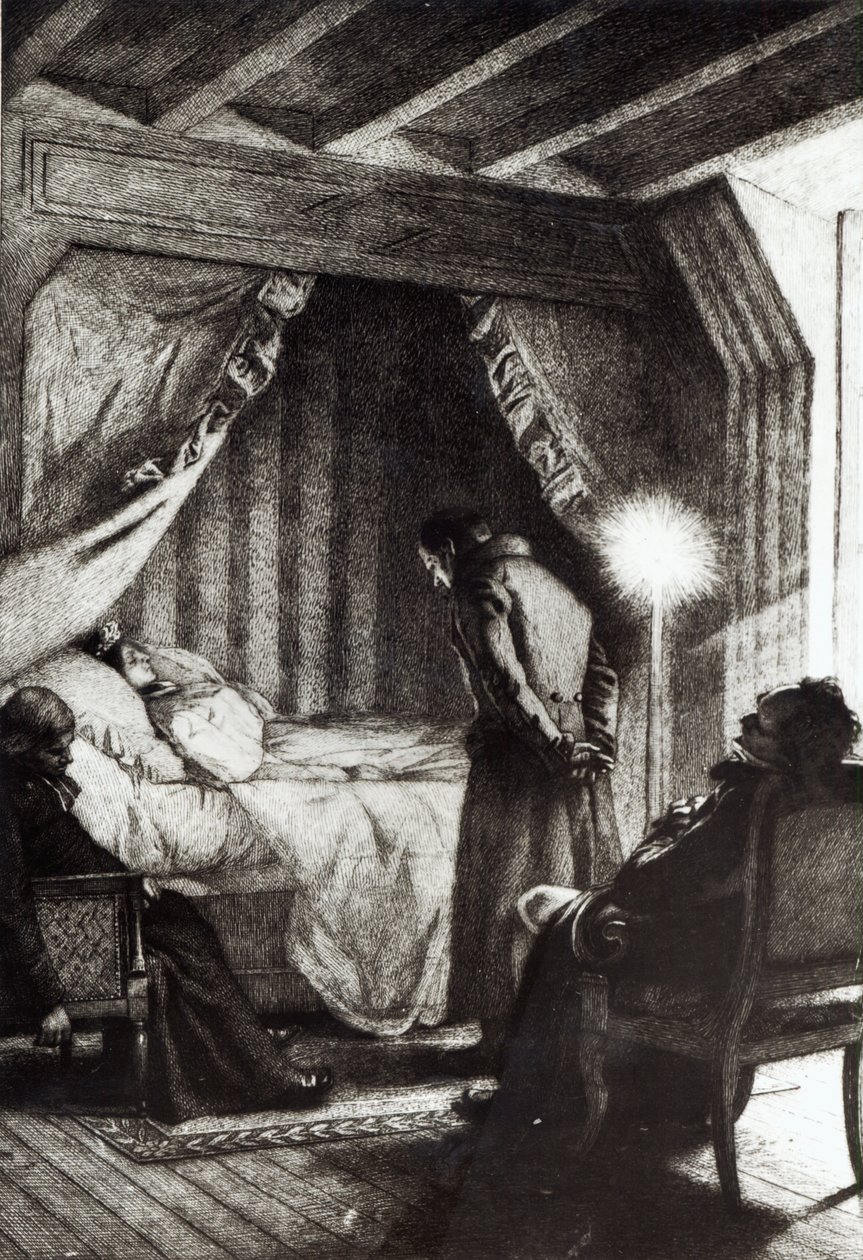 La morte di Emma Bovary da 