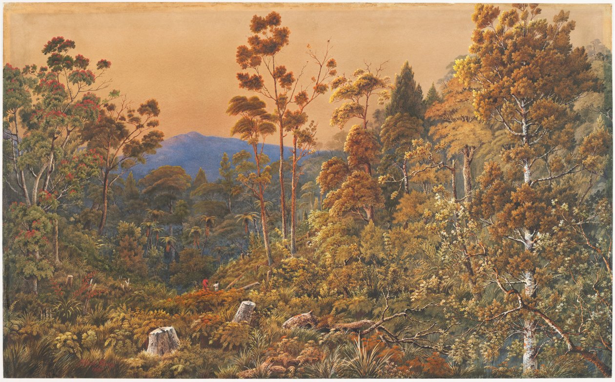 Una sera dorata, Isola Waiheke da Alfred Sharpe