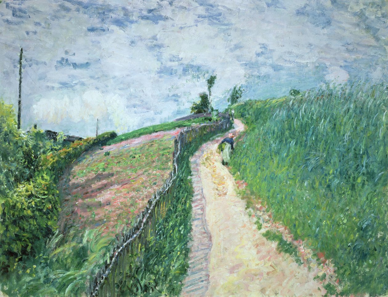 Sentiero che conduce a Ville D