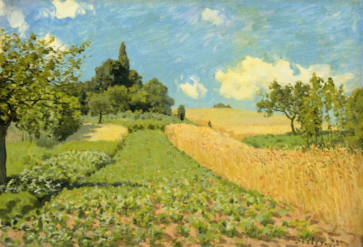 Il campo di grano (vicino ad Argenteuil) da Alfred Sisley