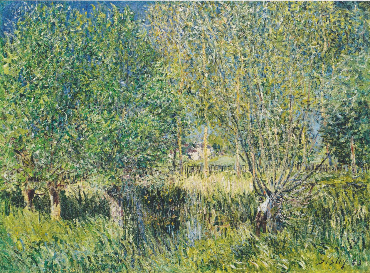 Salici sulla riva dell