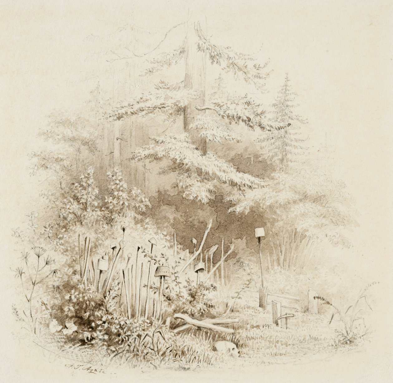 Luogo di sepoltura indiano, Oregon, 1841 da Alfred Thomas Agate