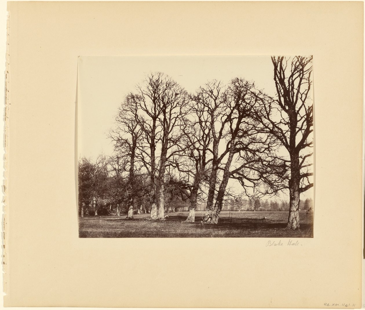Sala Blake da Alfred Capel Cure