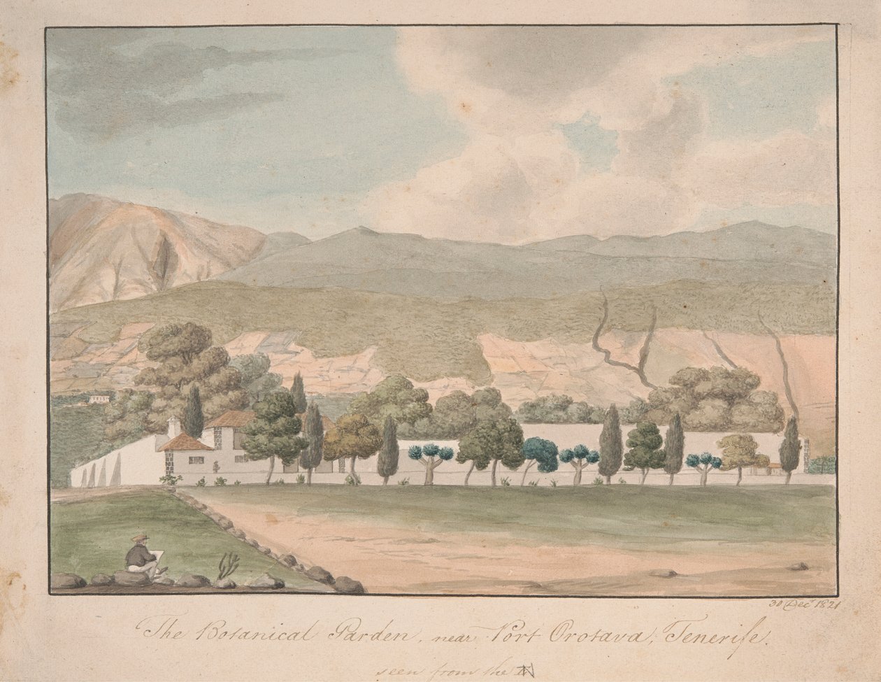 Il giardino botanico vicino a Port Orotava, Tenerife da Alfred Diston