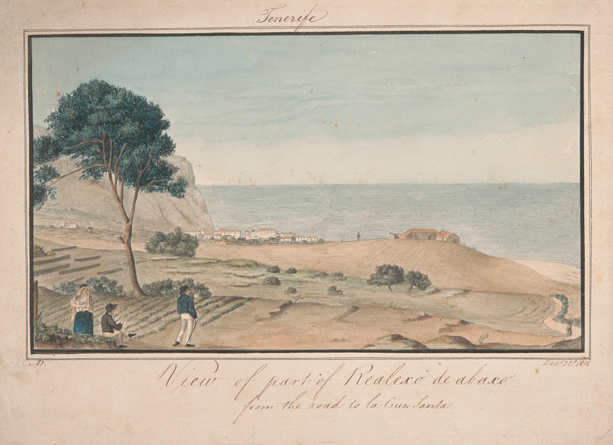 Veduta di parte di Realesco de abasco dalla strada per la Cruz Santa da Alfred Diston