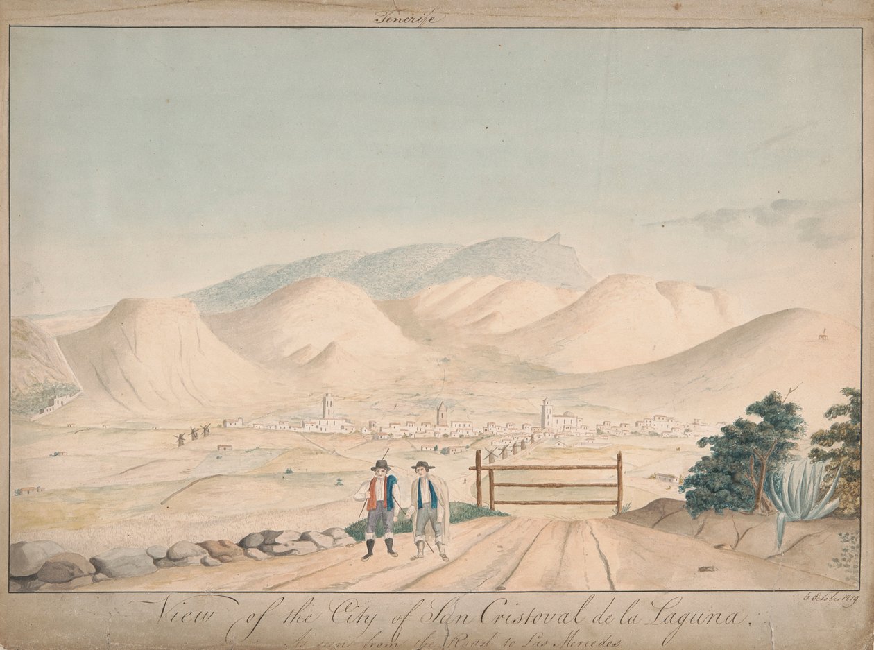 Veduta della città di San Cristoval de la Laguna vista dalla strada per Las Mercedes da Alfred Diston