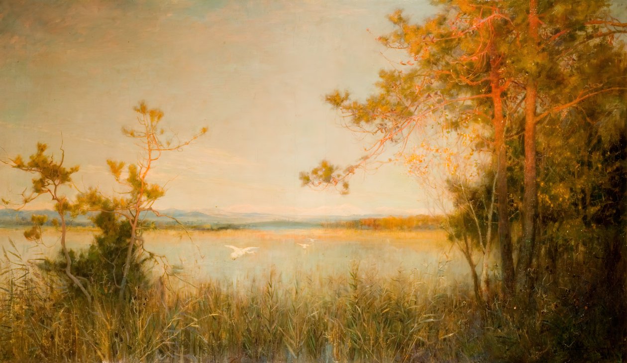 Reedy Mere e Colline illuminate dal sole da Alfred Edward East