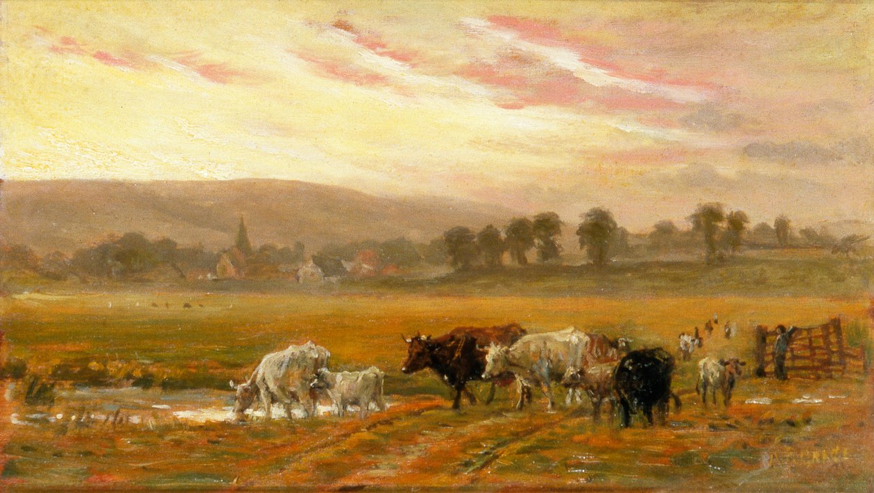 Tramonto vicino ad Amberley da Alfred Fitzwalter Grace
