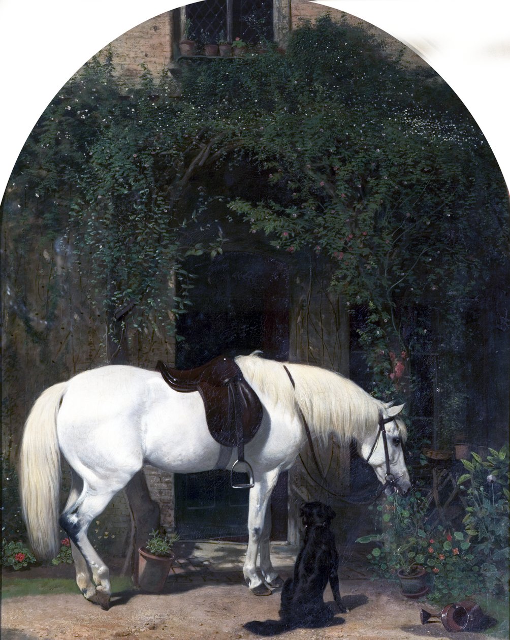 Cavallo bianco e retriever da Alfred Hichens Corbould