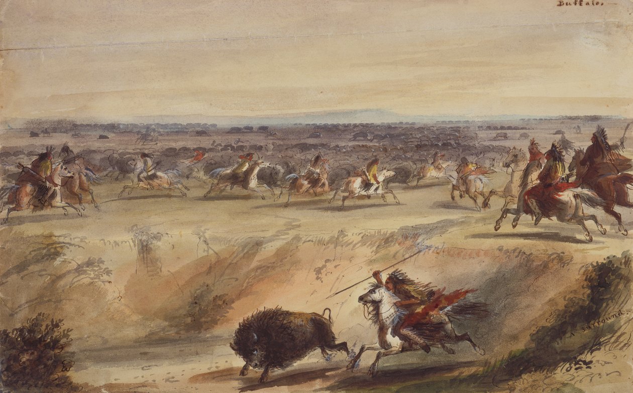 Una caccia al bufalo, c.1839 da Alfred Jacob Miller