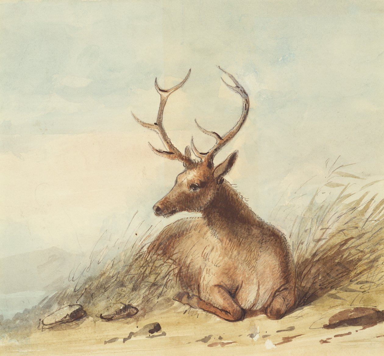 Alce, Montagne Rocciose, c.1837 da Alfred Jacob Miller