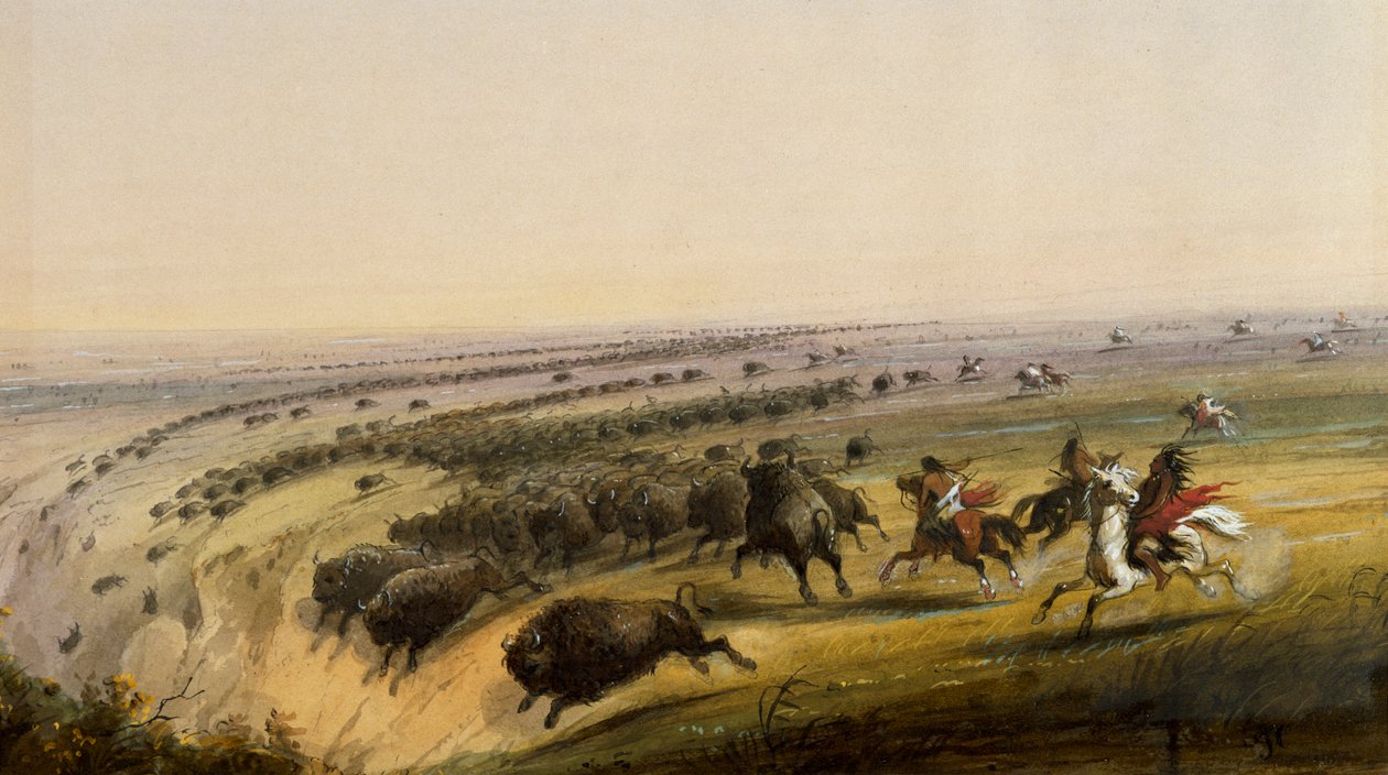 Caccia al bufalo da Alfred Jacob Miller