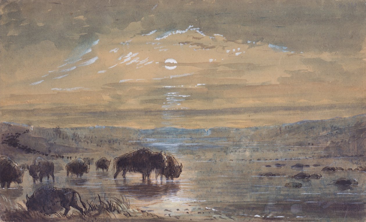 Scena notturna, bufali nella prateria, c.1837 da Alfred Jacob Miller