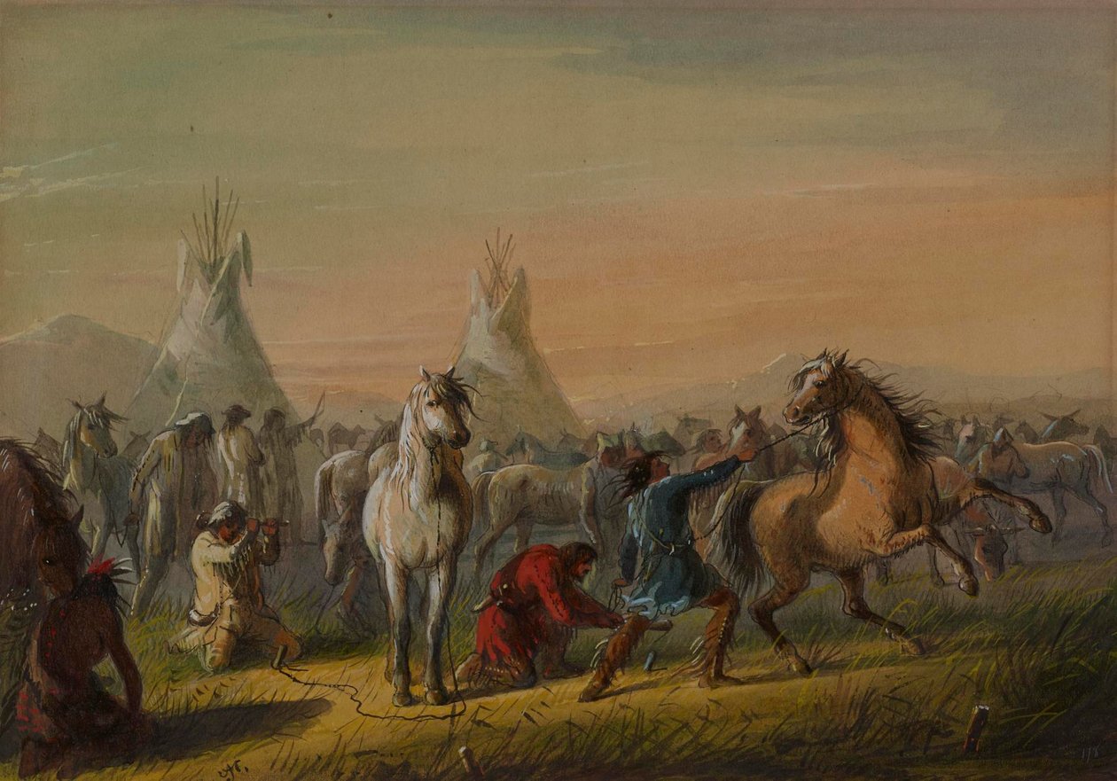 Cavalli da picchetto da Alfred Jacob Miller