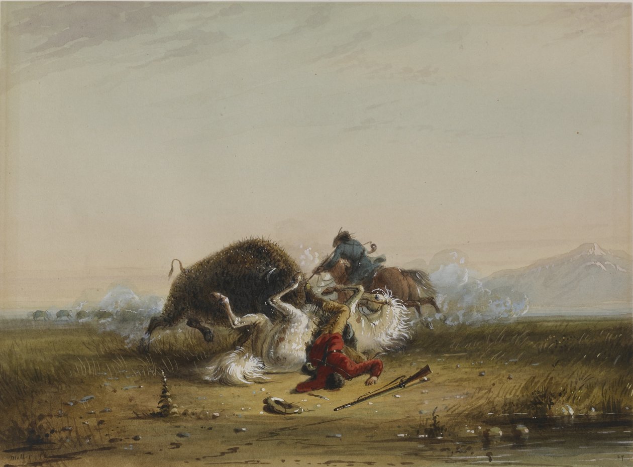 Pierre e il bufalo da Alfred Jacob Miller