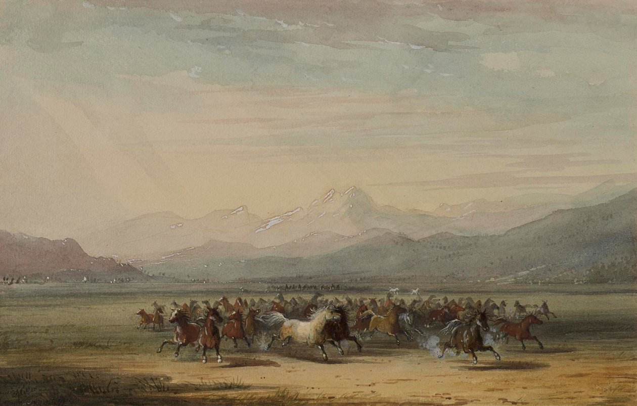 Fuga precipitosa di cavalli selvaggi da Alfred Jacob Miller