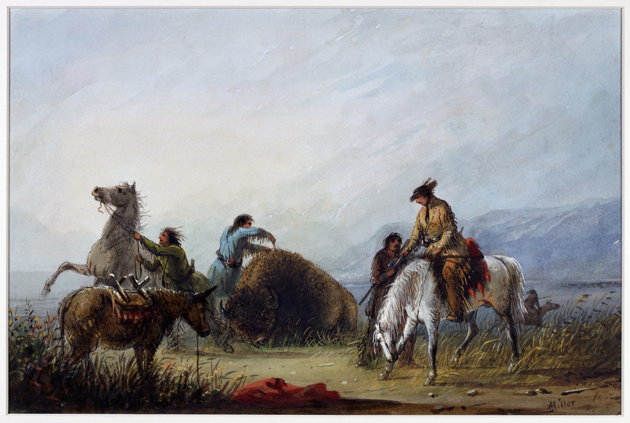 La costina "Hump Rib" da Alfred Jacob Miller