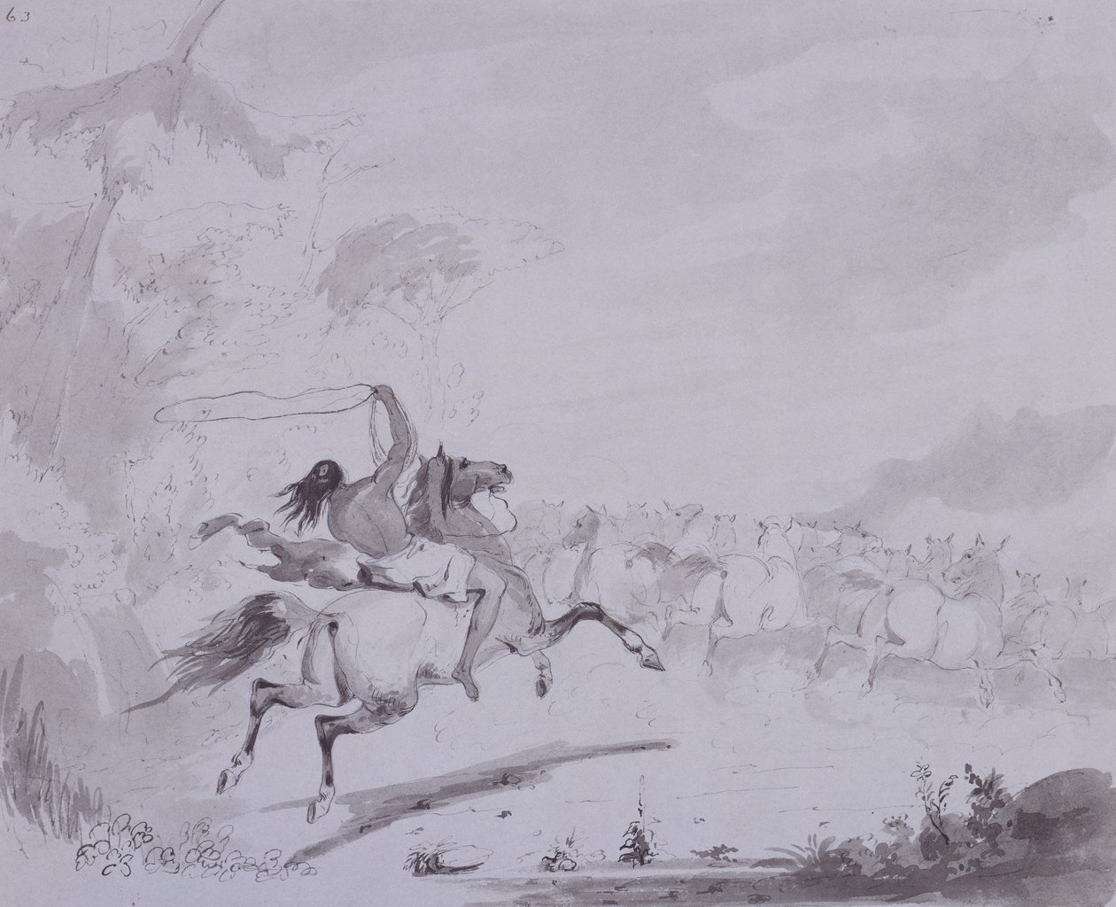 Lancio del lazo, c.1837 da Alfred Jacob Miller