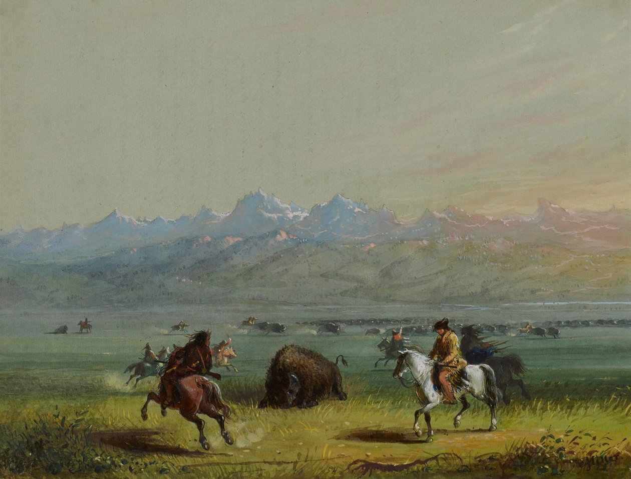 Bufalo ferito da Alfred Jacob Miller