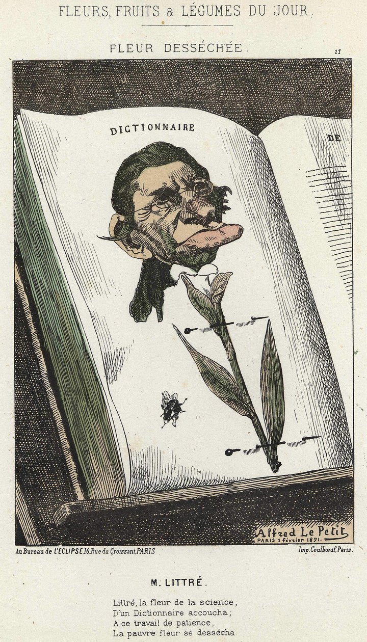 Fiore Déséchée: caricatura su Littré - ill. dal 01/02/1871 in Fiori, Frutti e Verdure del Giorno da Alfred Le Petit