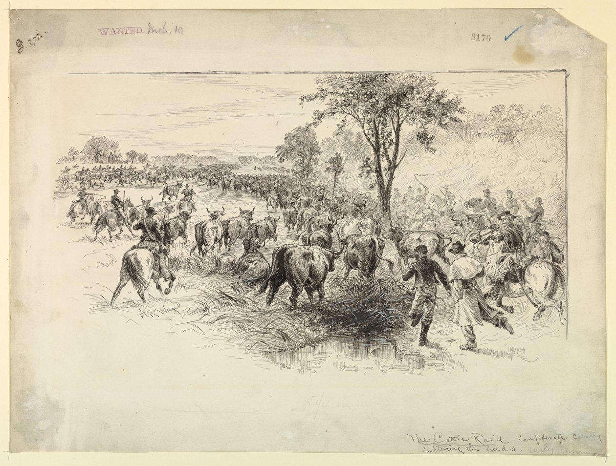 Il raid del bestiame da parte della cavalleria confederata da Alfred R. Waud