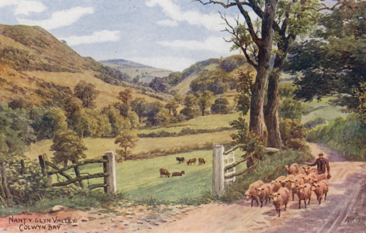 Valle di Nant Y Glyn, Colwyn Bay (litografia a colori) da Alfred Robert Quinton
