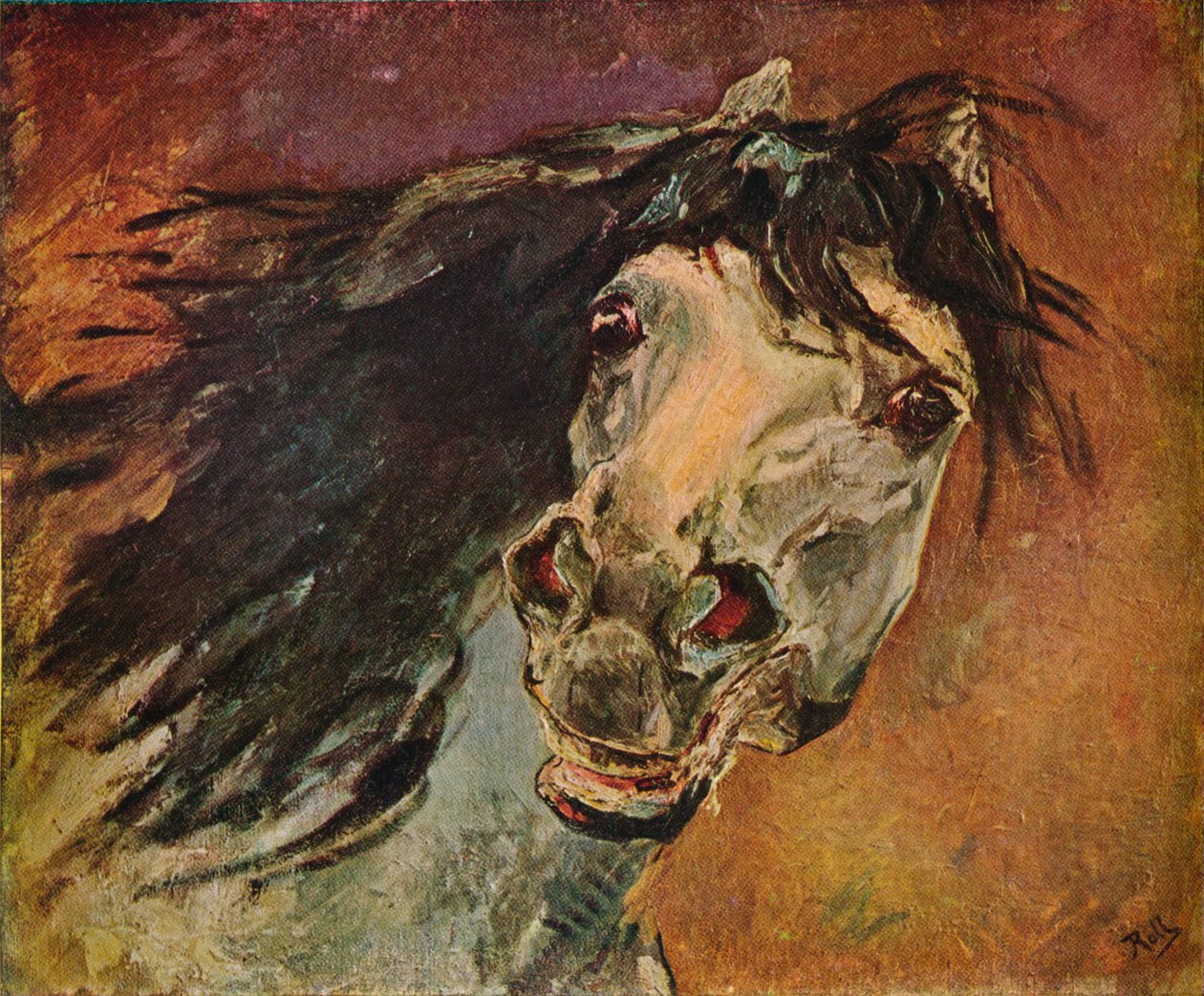 Testa di cavallo andaluso, c1910 da Alfred Roll
