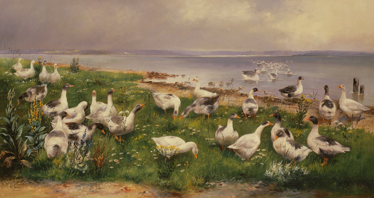 Oche da Alfred Schonian