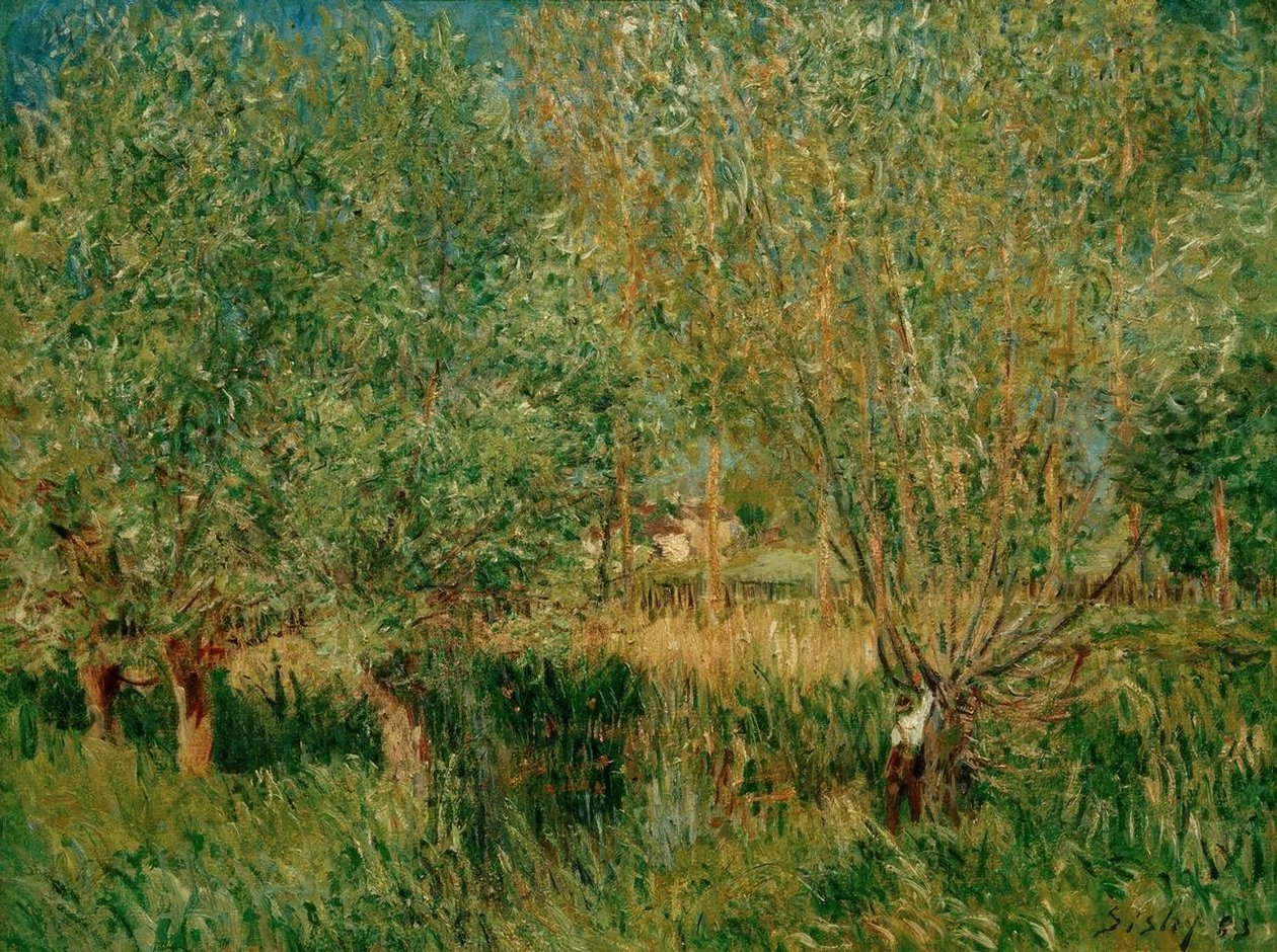 Salici sulla riva dell